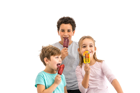 Lékué stick and lid detail showing secure fit and protection from freezer odors