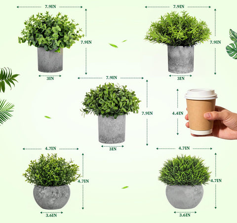 Lemonfilter grouped arrangement of three tall and two short pots for layered visual appeal