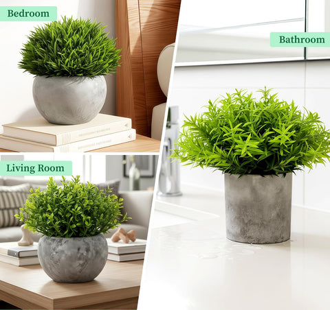 Lemonfilter on bookshelf styled with books and decor, adds easy low-maintenance greenery