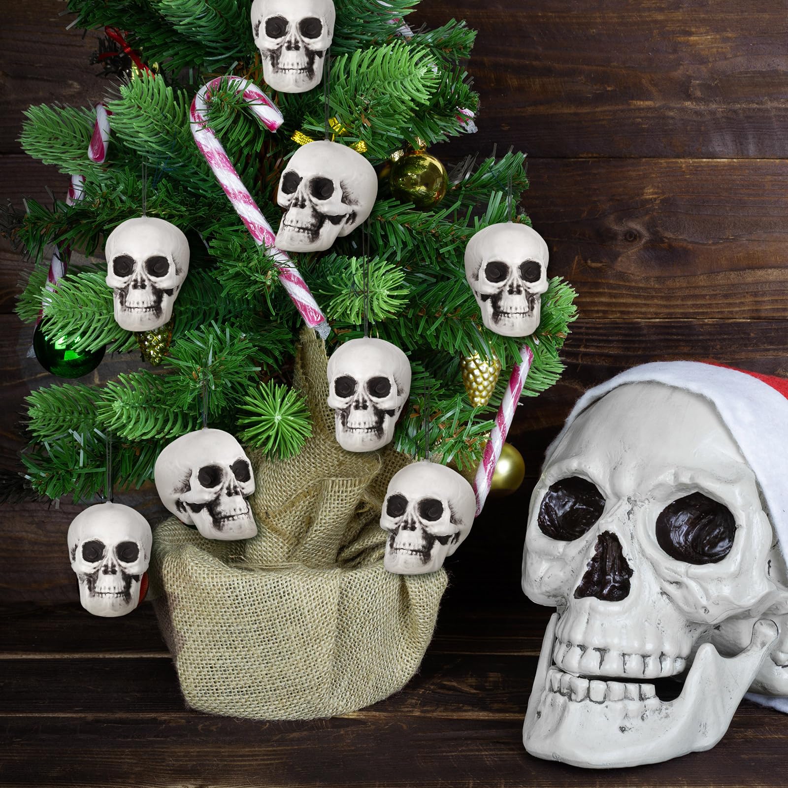 Lenwen skull in hand showing compact size and easy placement