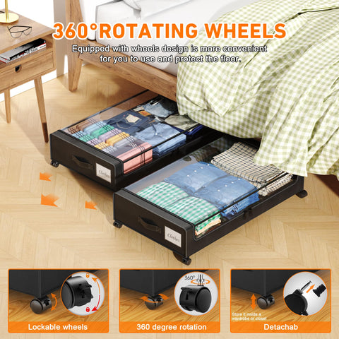 LESHZHEN transparent lid and label window for quick content identification benefit