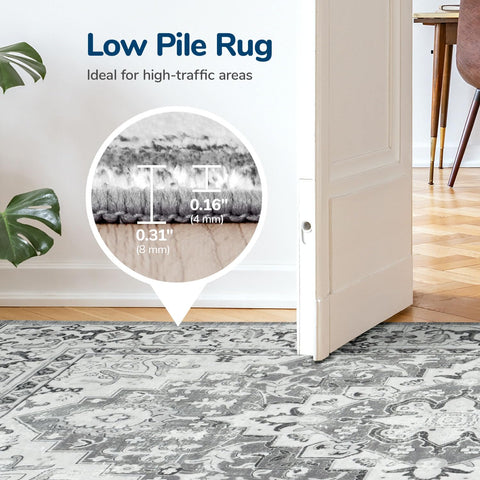 Lessymo rug in styled living room demonstrating cohesive decor impact