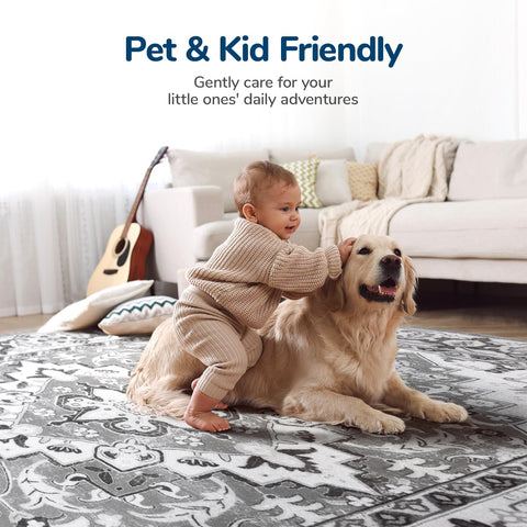 Lessymo rug under coffee table showing scale and furniture compatibility