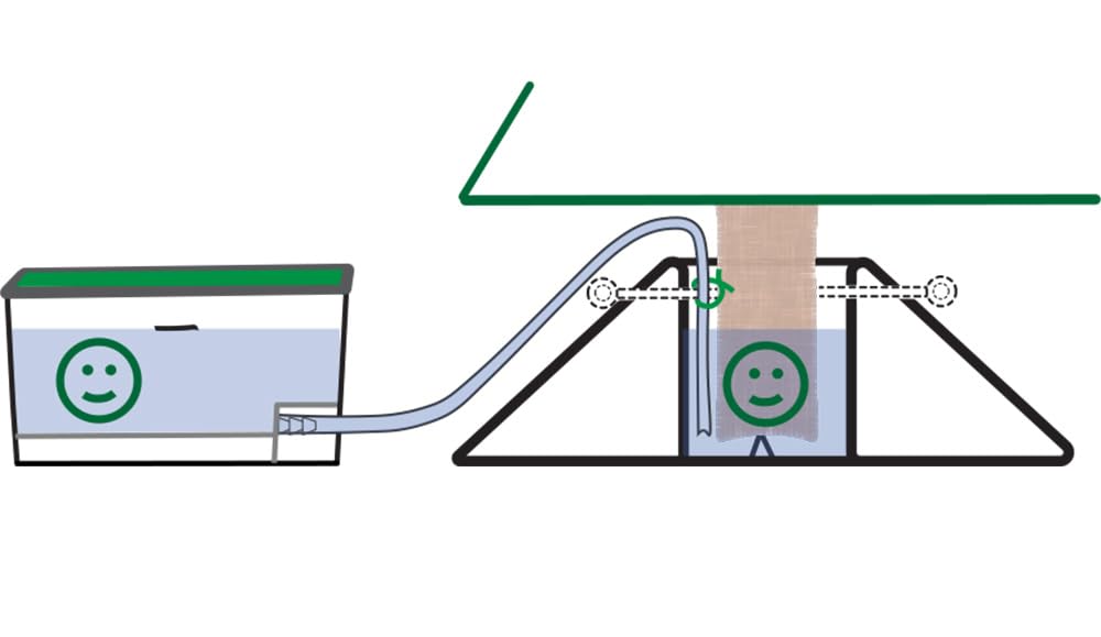 LEVGO HOME lifestyle image with EverGreen Helper installed keeping tree hydrated benefit