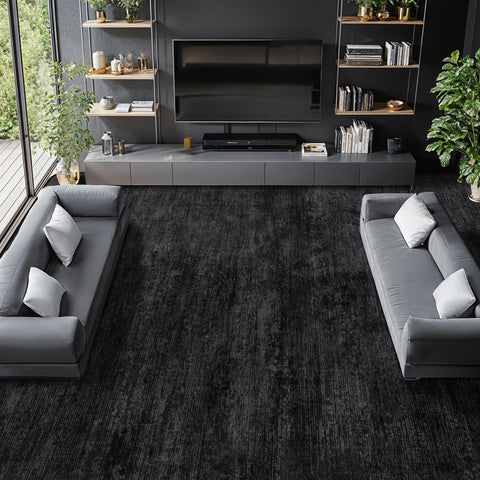 LIANLAM front view 8x10 black rug showing clean modern look and versatility