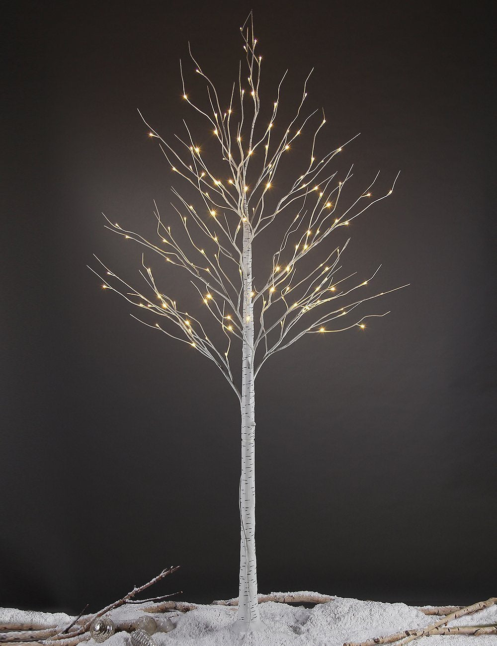 LIGHTSHARE birch tree front view showing full height and warm glow