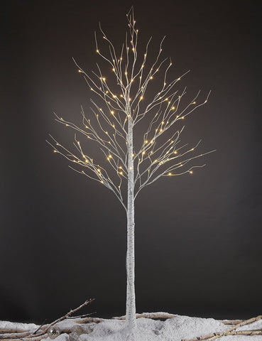 LIGHTSHARE birch tree front view showing full height and warm glow
