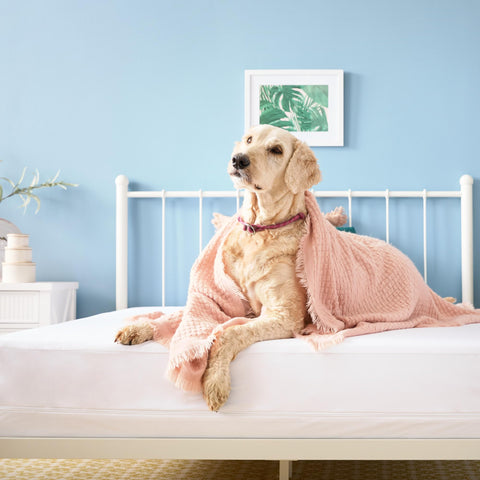 Linenspa full mattress size comparison showing scale and fit on a standard bed
