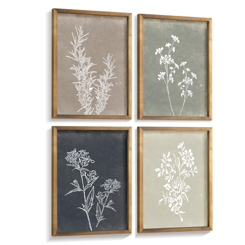 Liswit front view of four framed botanical prints showing cohesive gallery look and charm