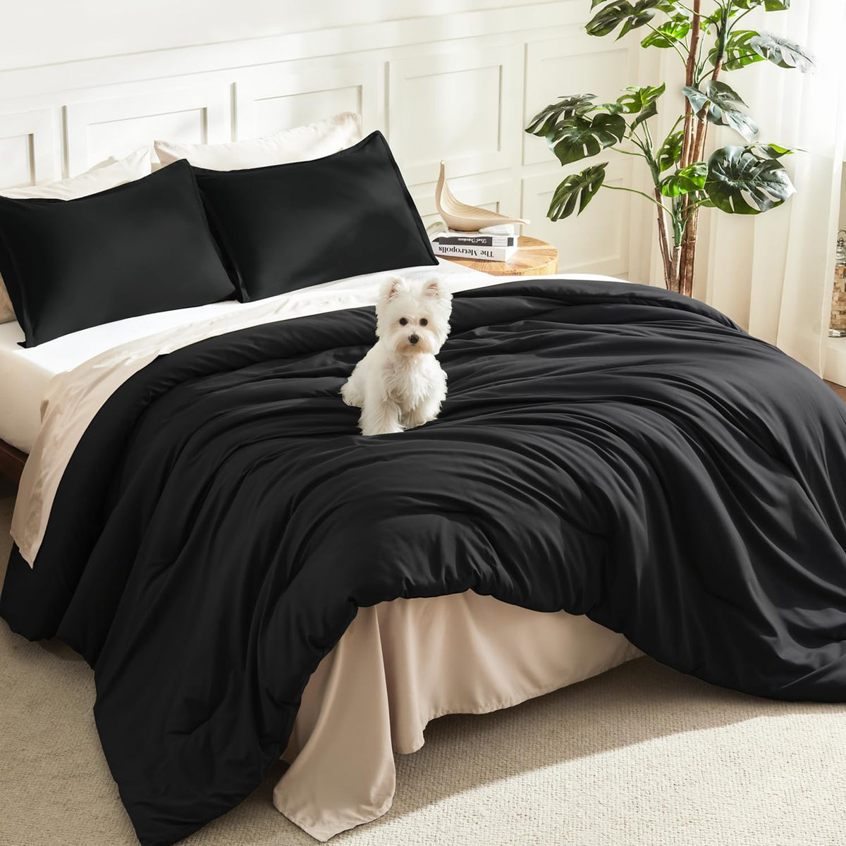 Litanika black comforter front view showing clean modern look and easy styling