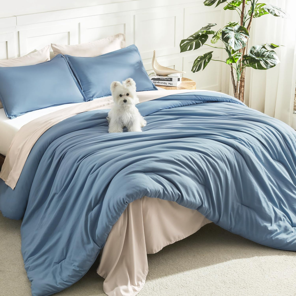 Litanika full-size comforter front view showing smooth finish and color