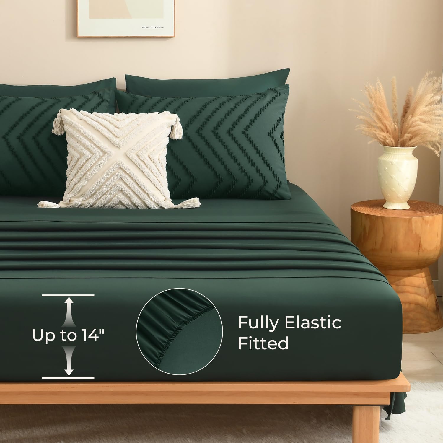 Litanika vacuum-sealed packaging being opened to show compact shipping and easy setup