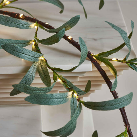 LITBLOOM close-up of grey-green olive leaves showing realistic texture