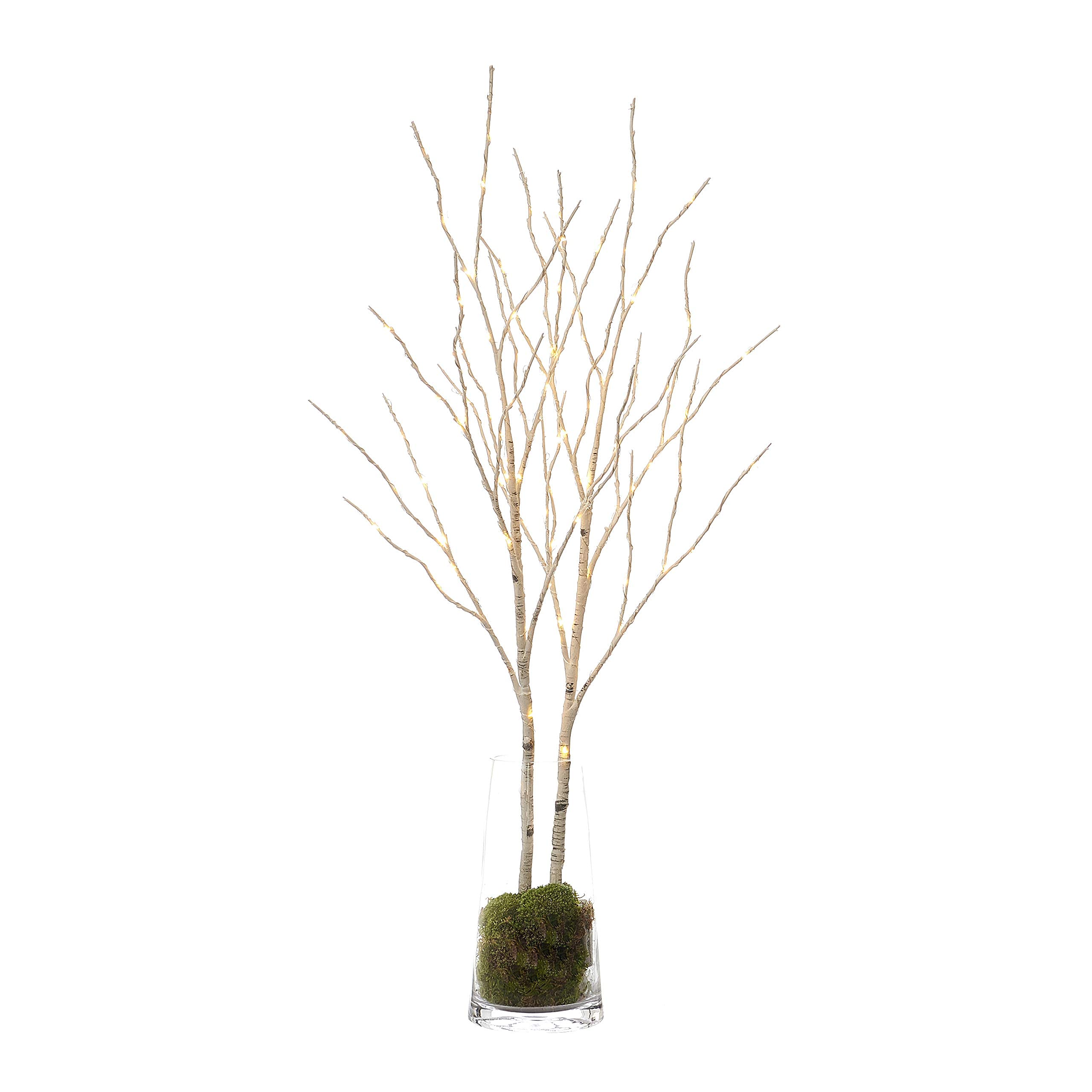 LITBLOOM size comparison with ruler showing 32-inch height for scale