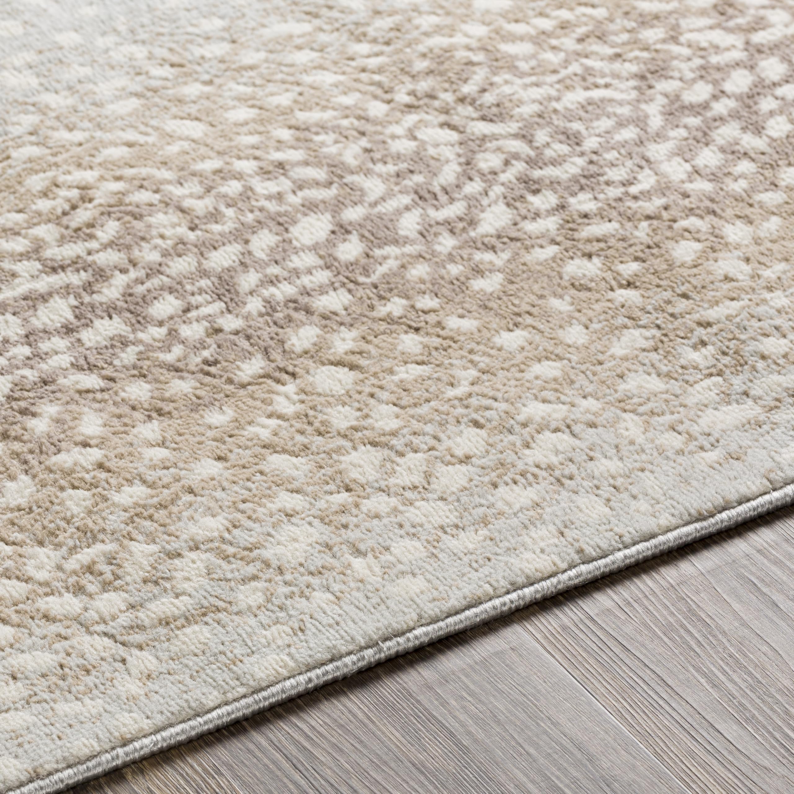 Livabliss Pablo rug in living room setting adding warmth and cohesive decor