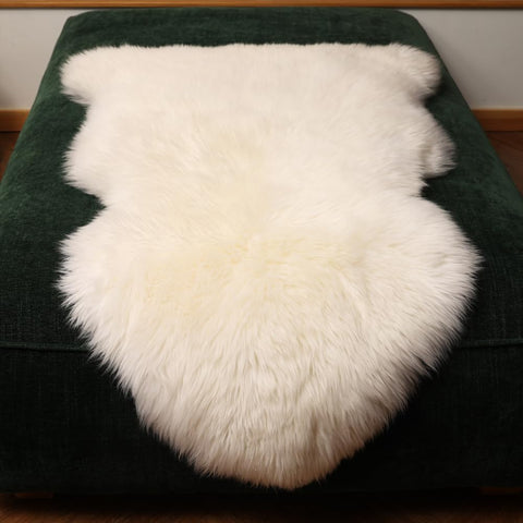 LLB sheepskin next to ruler showing accurate 2x3 ft scale