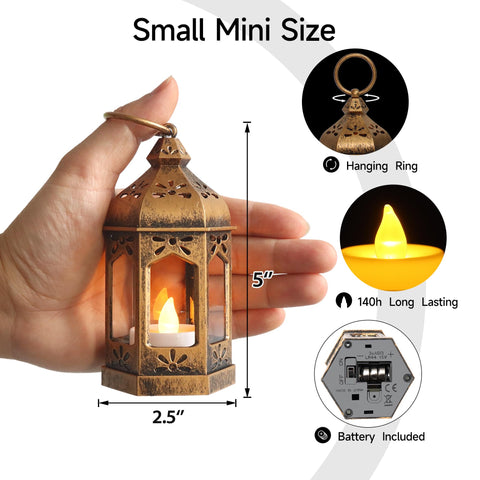 LLQ lantern hanging on tree branch creating safe outdoor atmosphere