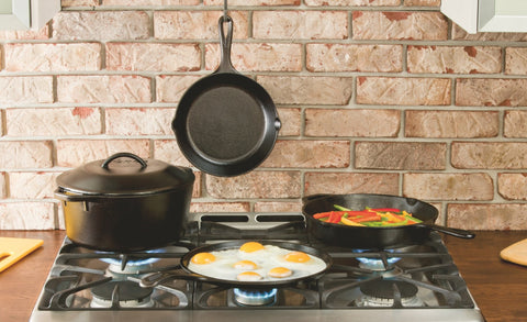 Lodge Dutch oven beside skillet for scale, shows 5 quart capacity and versatility