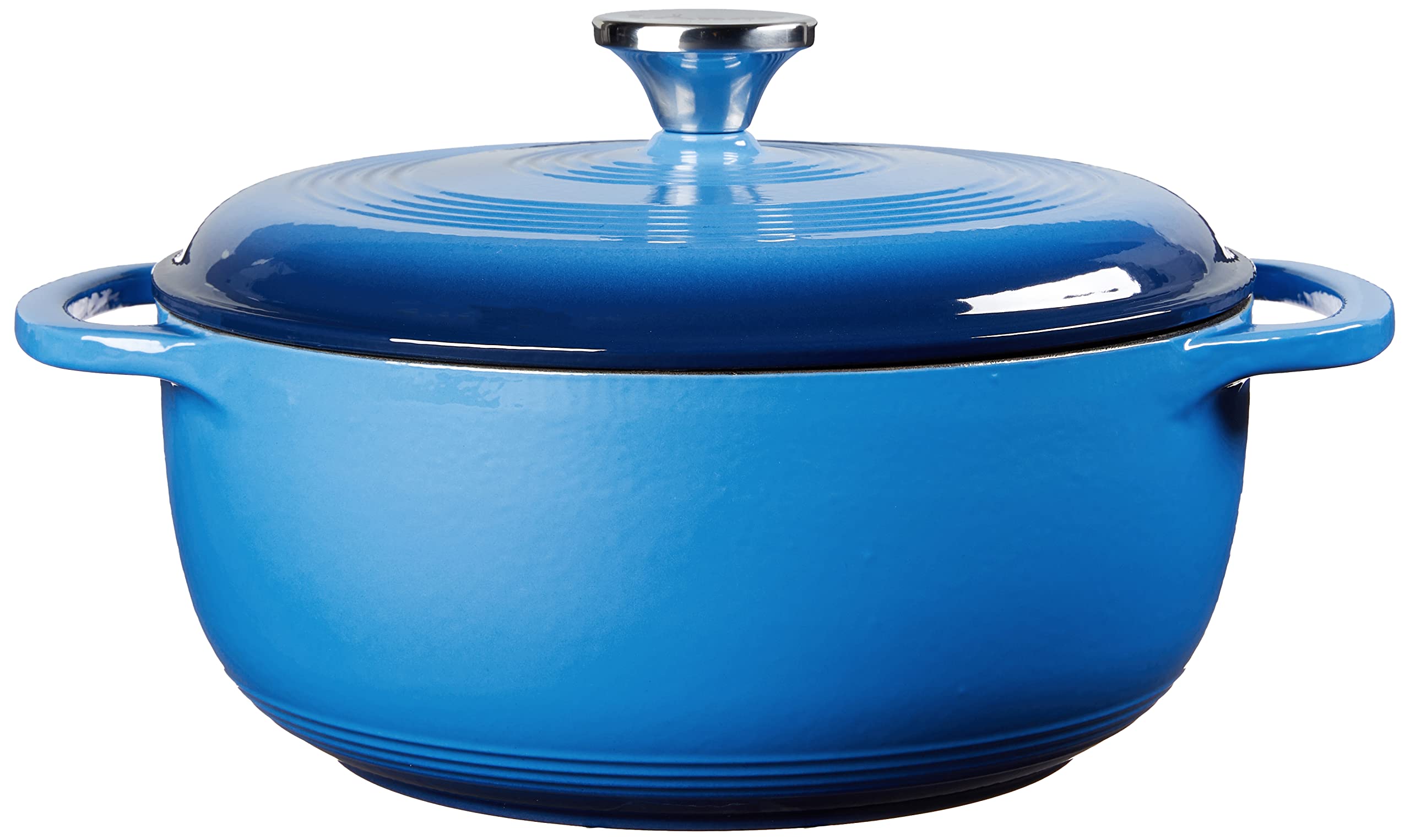 Lodge enamel interior close-up highlighting smooth non-reactive cooking surface