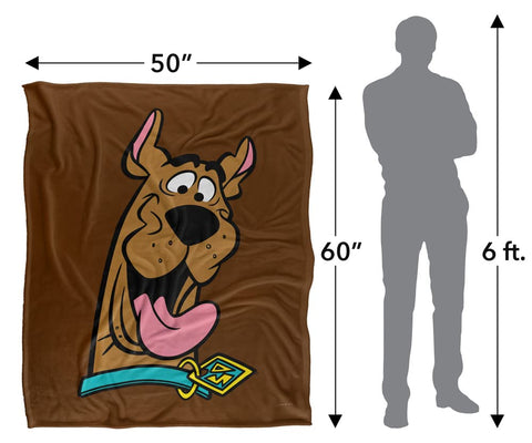 LOGOVISION Scooby-Doo throw draped on sofa for cozy living room styling