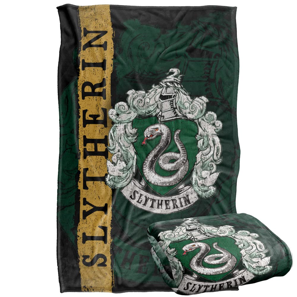 LOGOVISION Slytherin front view showing full house crest and vibrant colors for display