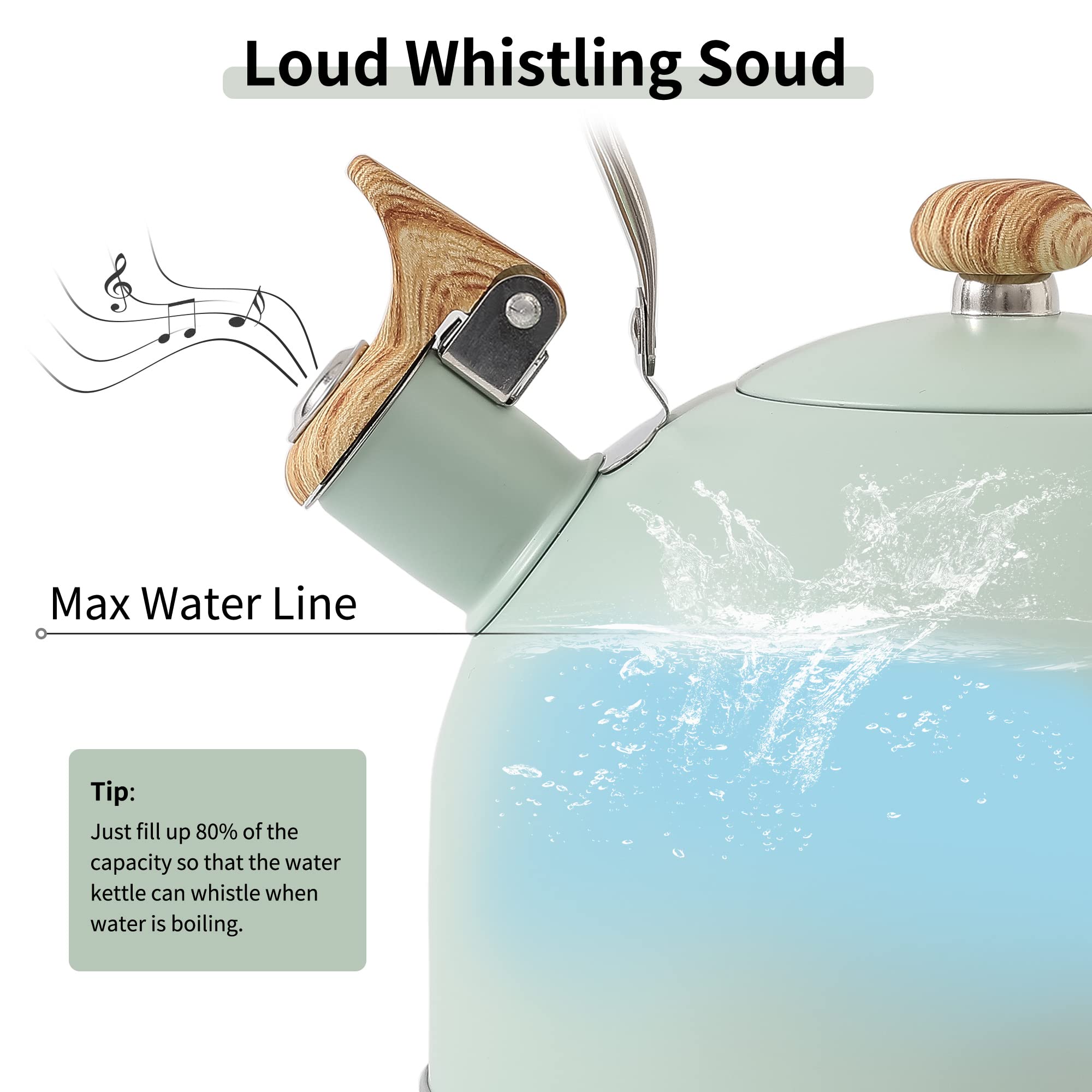 Lonffery spout and whistle detail illustrating loud boil alert benefit