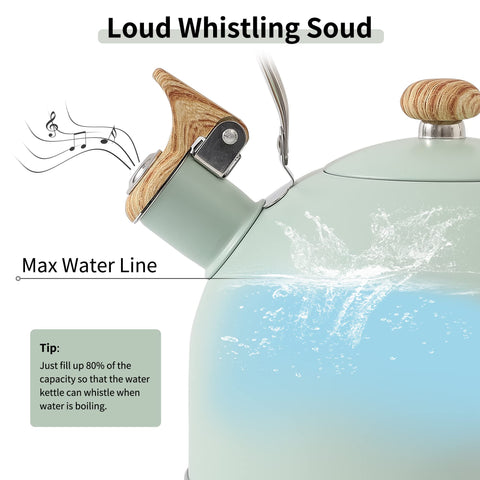 Lonffery spout and whistle detail illustrating loud boil alert benefit