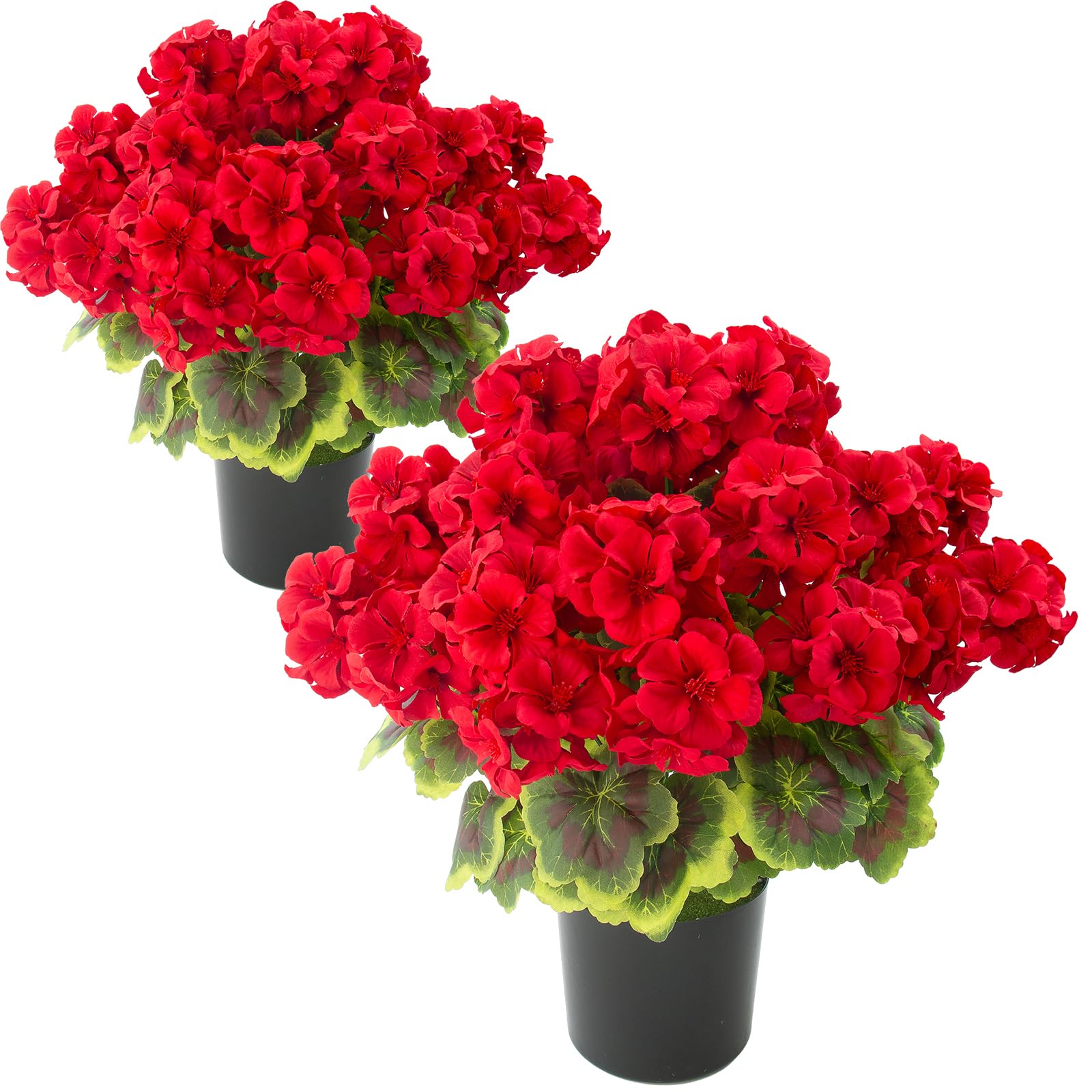 lovemoon front view potted geraniums showing instant decor boost