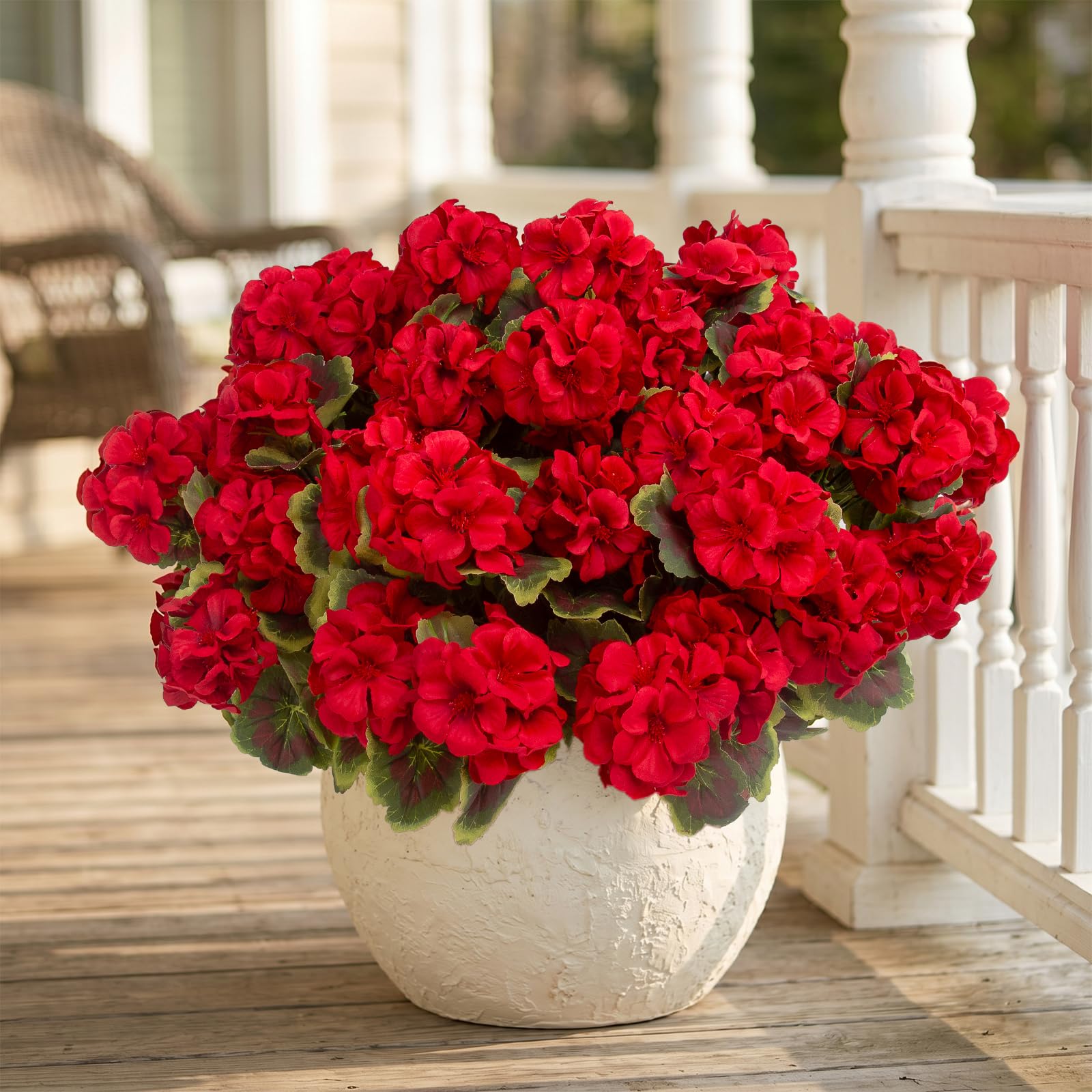 lovemoon geraniums styled on coffee table creating a cozy living room accent