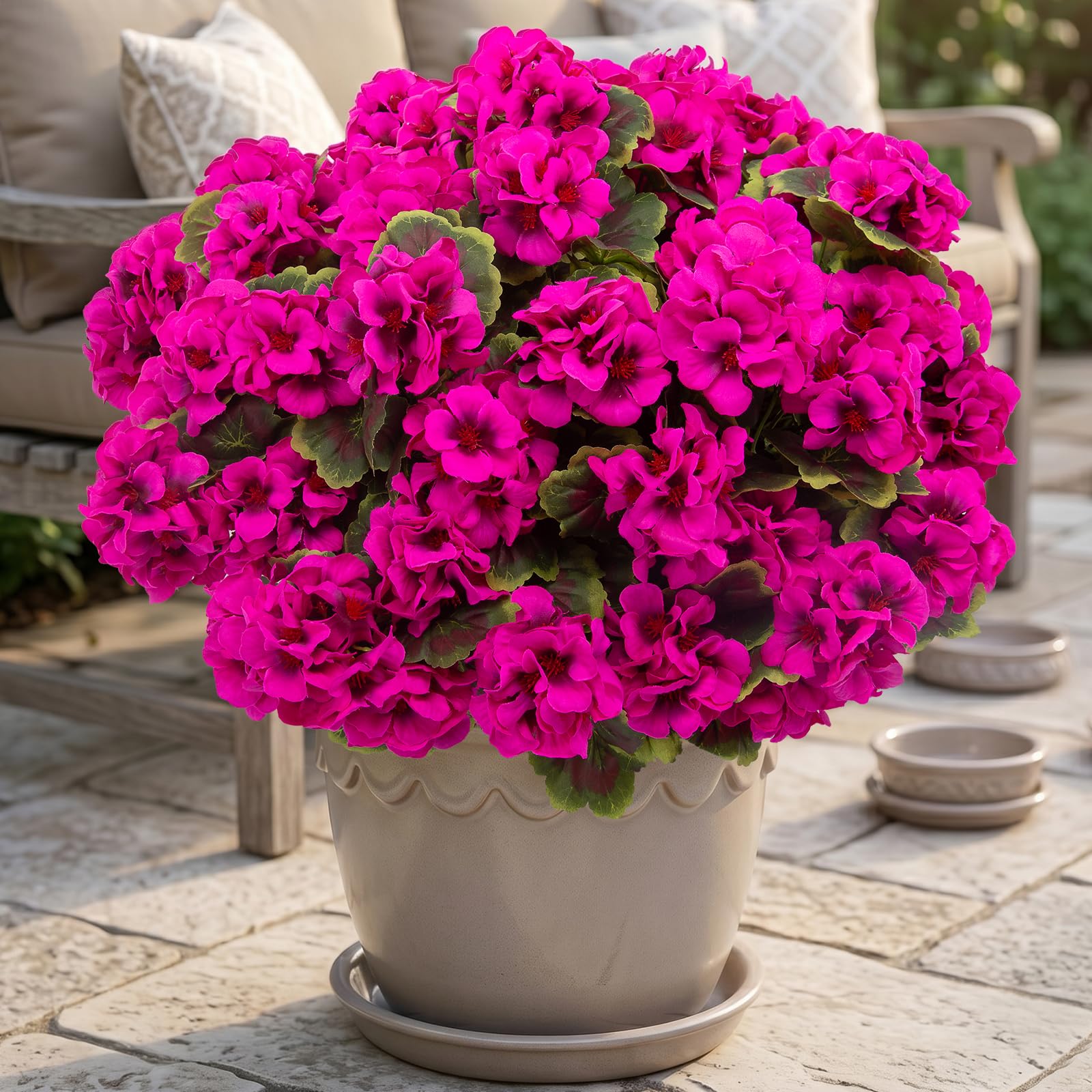 lovemoon styled in lobby retail display showing professional staging and low-maintenance benefit