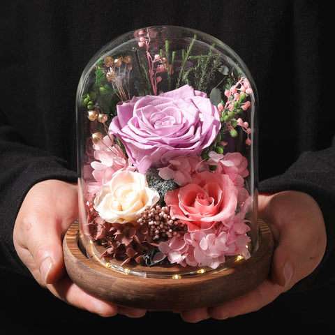 lovenfold dome held in hand showing scale and easy tabletop placement