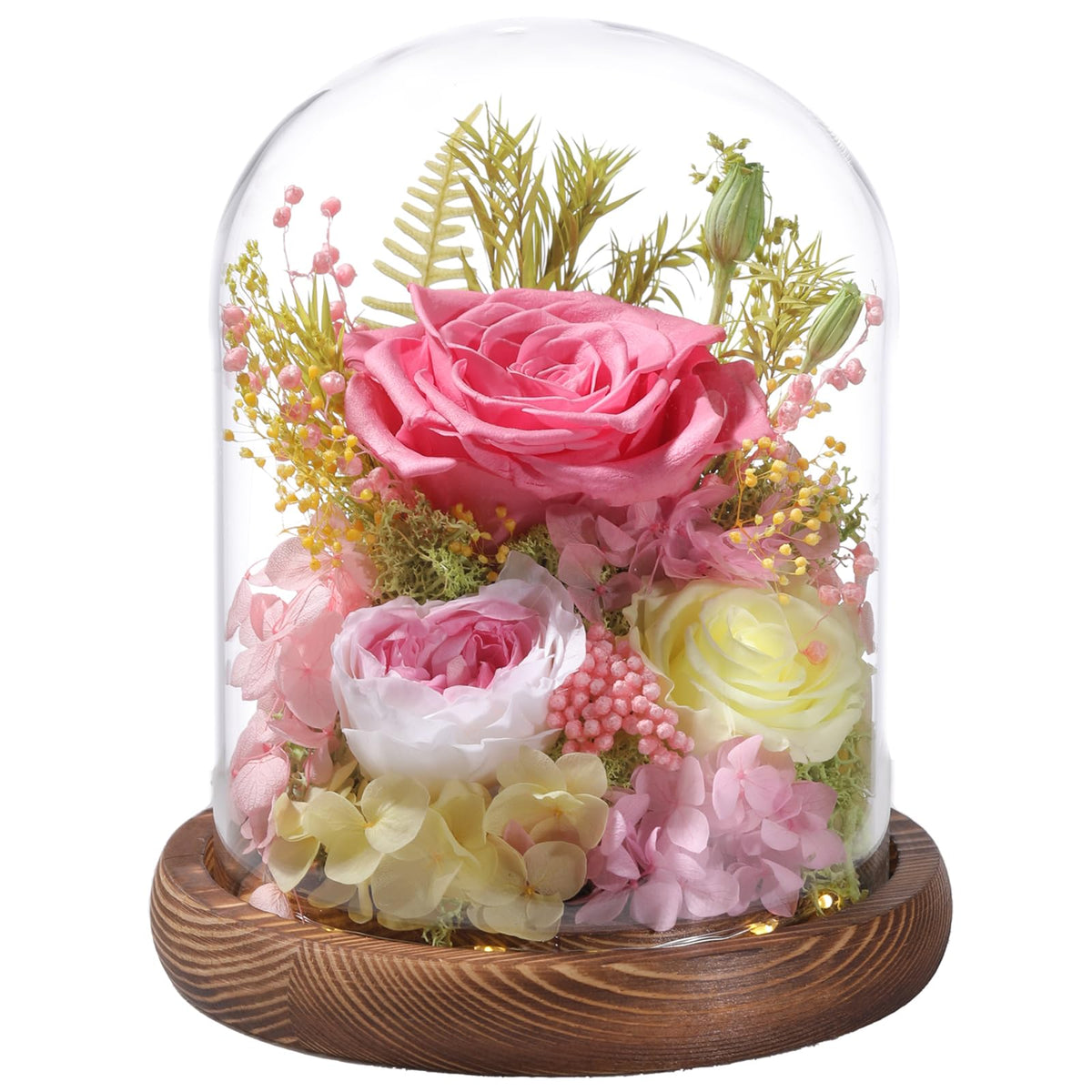 lovenfold glass dome front view showing preserved roses and elegant display benefit