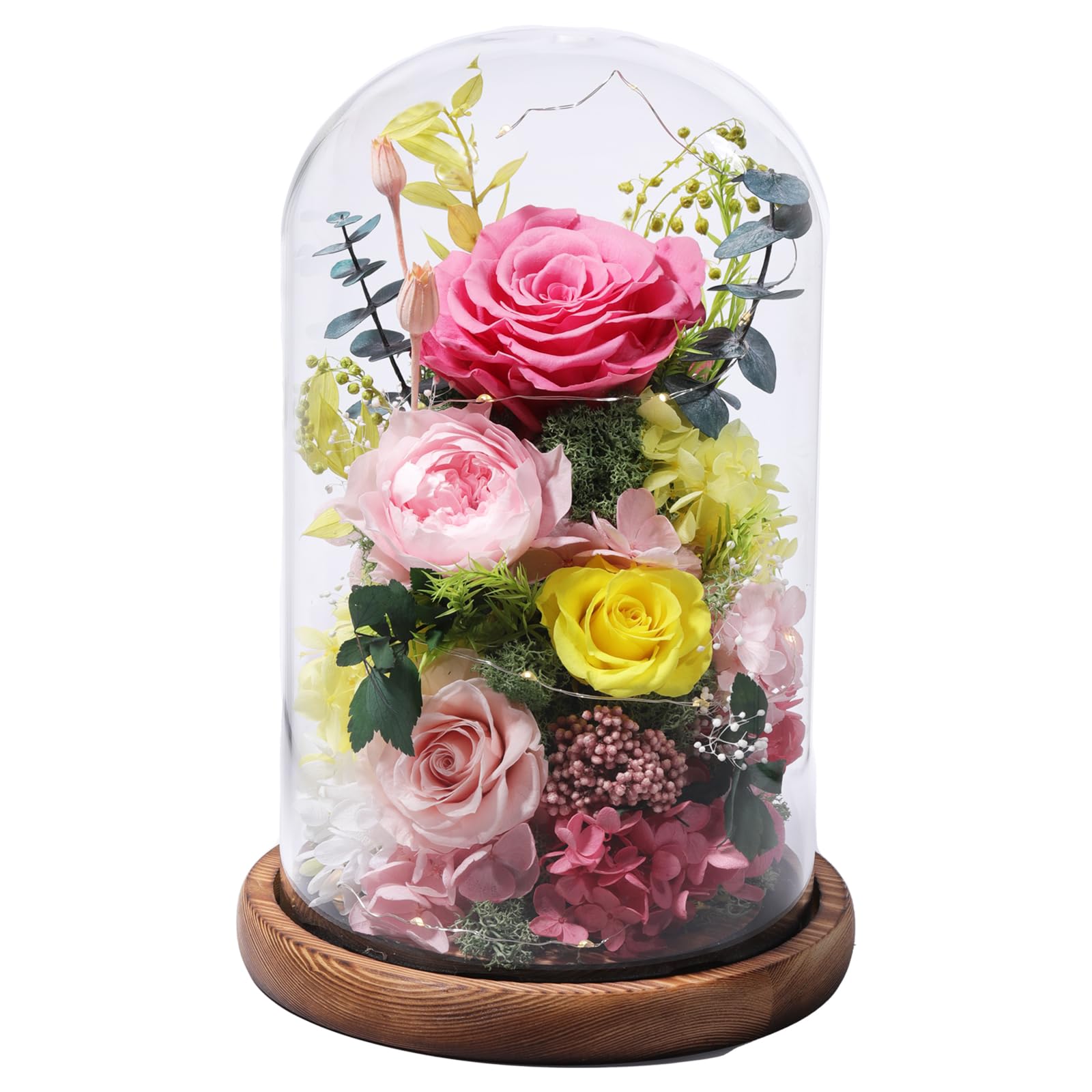 lovenfold dome front view showing preserved rose and glass cover for elegant display