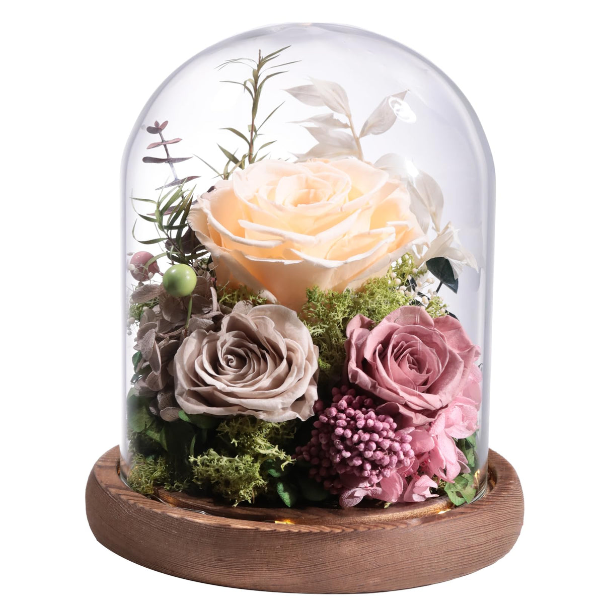 lovenfold glass dome front view showing elegant preserved rose and display benefit