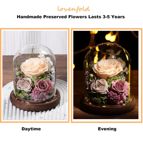 lovenfold wooden base with LED lights illuminating rose for ambient display benefit