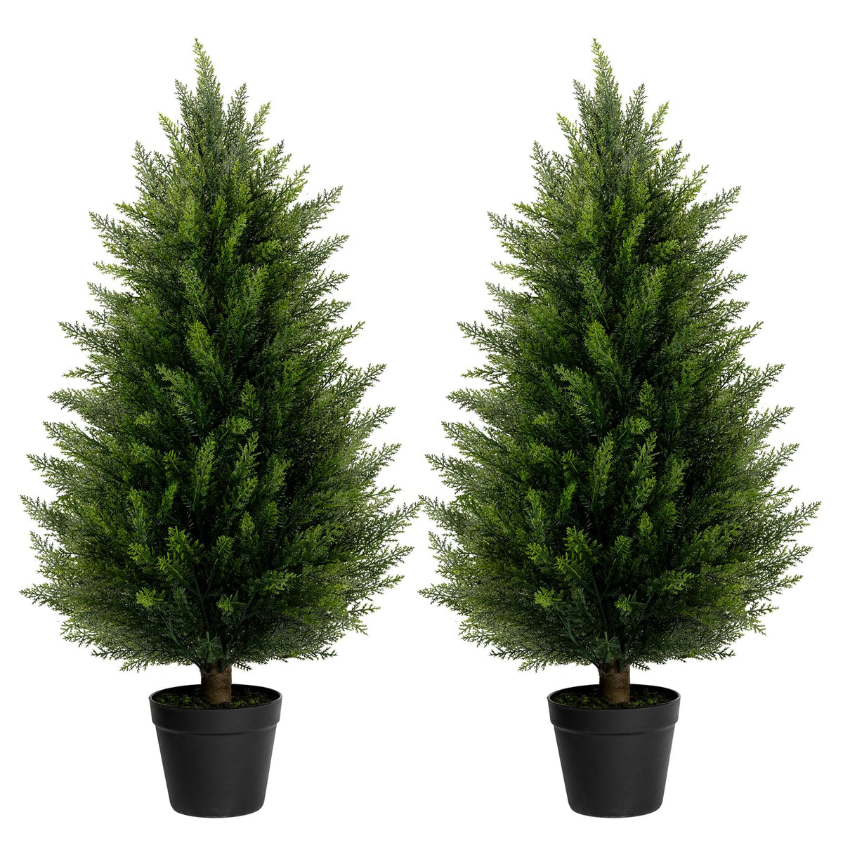 LuceAlberi front view of two 3FT cedar topiaries adding curb appeal