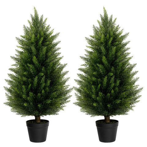 LuceAlberi front view of two 3FT cedar topiaries adding curb appeal