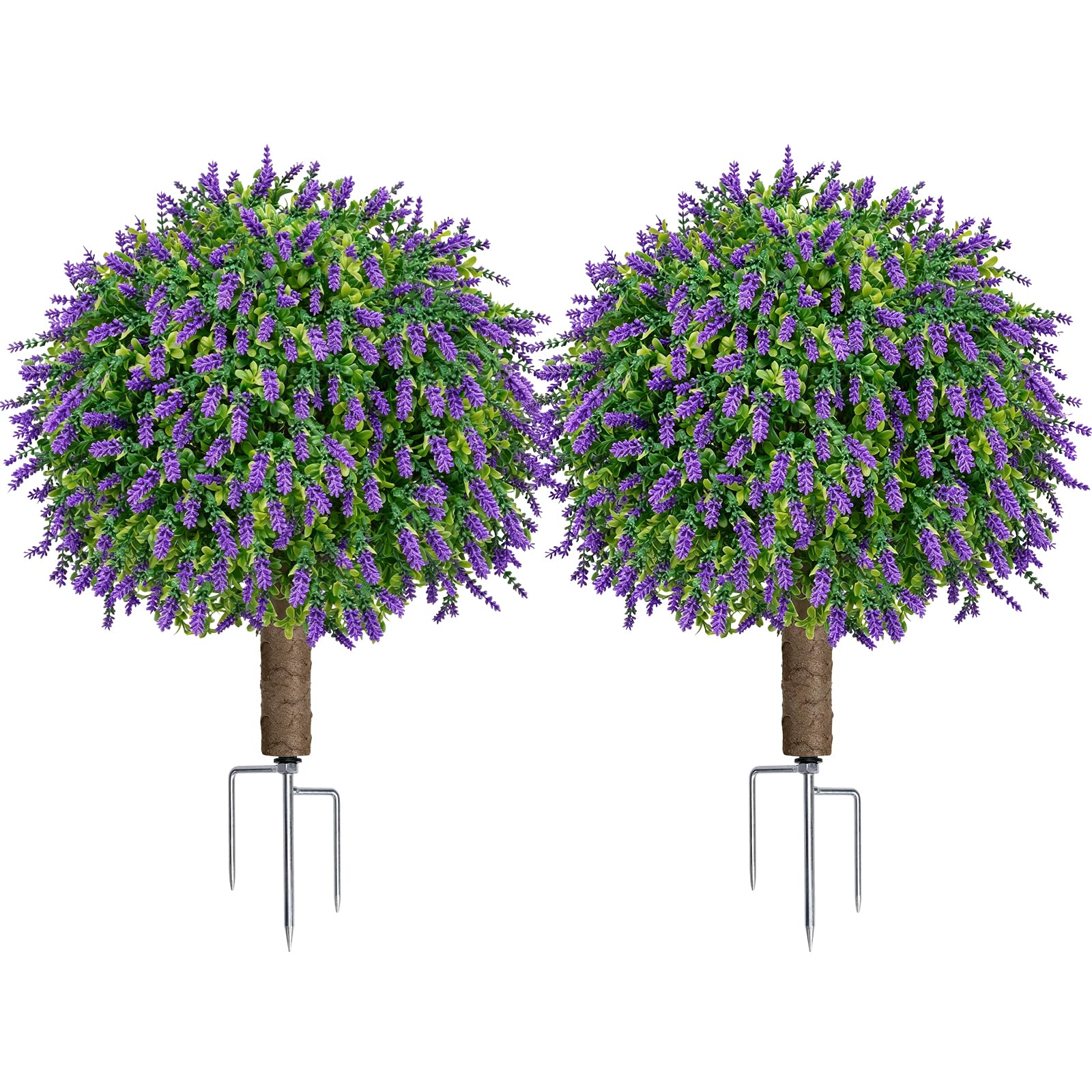 LuceAlberi front view of two lavender boxwood topiary balls adding instant curb appeal