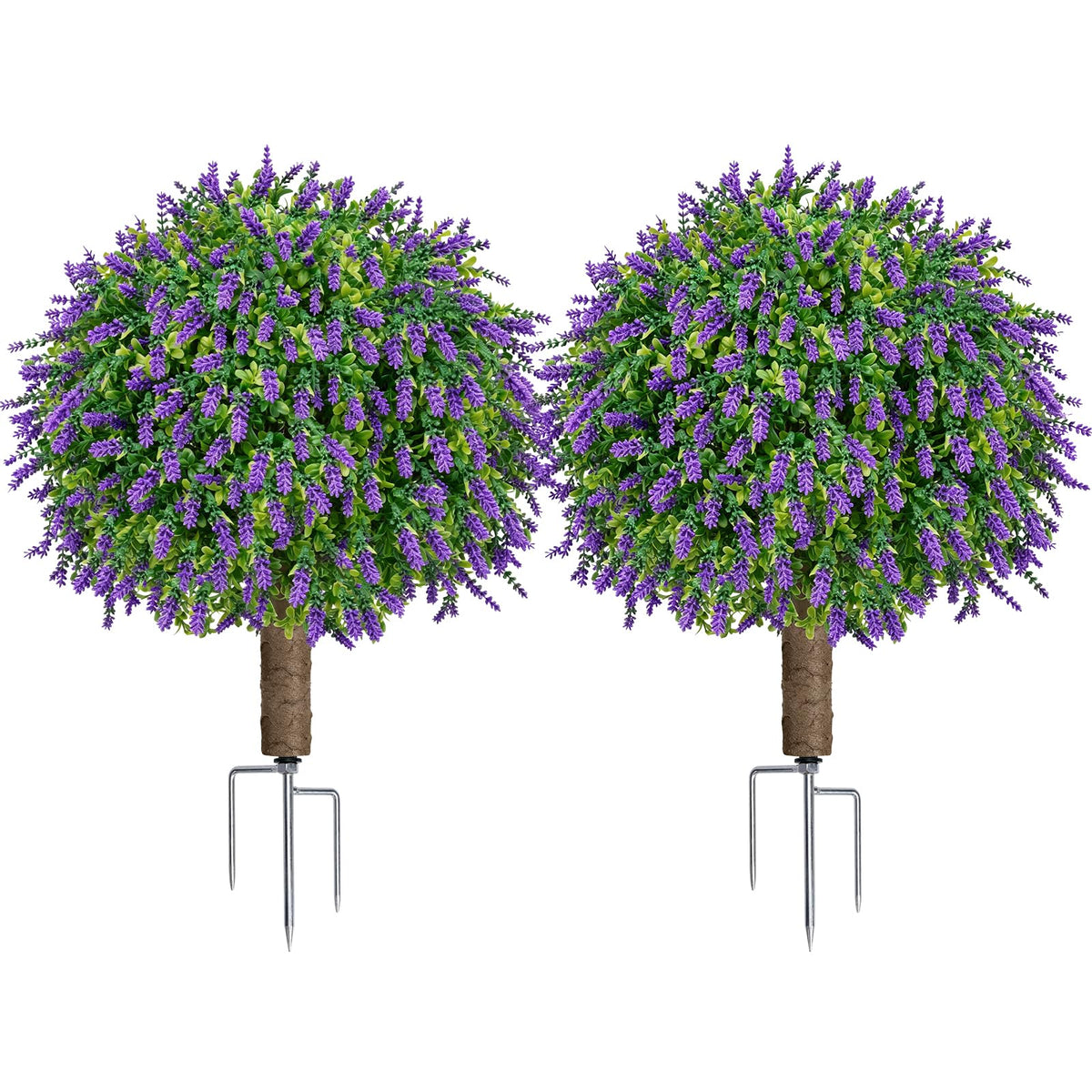 LuceAlberi front view of two lavender boxwood topiary balls adding instant curb appeal