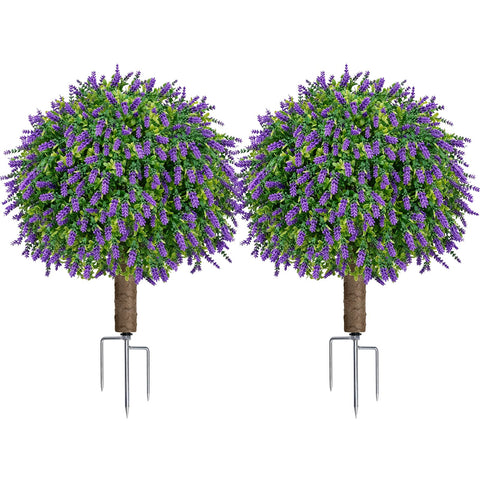 LuceAlberi front view of two lavender boxwood topiary balls adding instant curb appeal