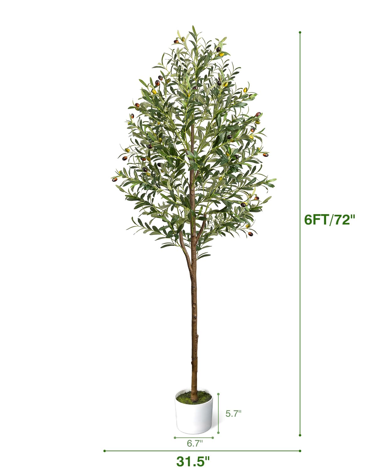 LuceAlberi in a living room adding Mediterranean height and calming ambiance