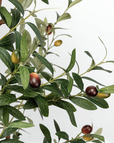 LuceAlberi close-up of olive fruits highlighting lifelike detail and charm