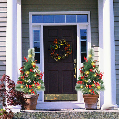 Lulu Home trees in a porch planter adding seasonal color and instant decoration