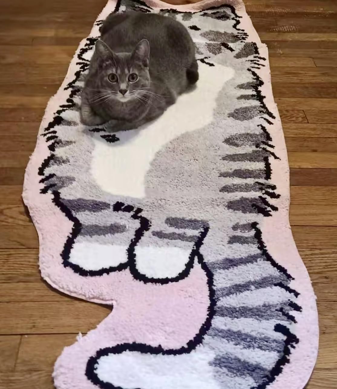 Luxape cat rug placed in bedroom offering cozy bedside comfort
