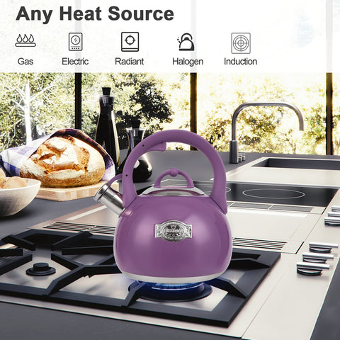 LUXGRACE close-up of whistling spout delivering audible boil notification benefit