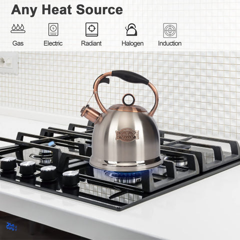 LUXGRACE close-up of whistling spout cap illustrating audible-boil alert