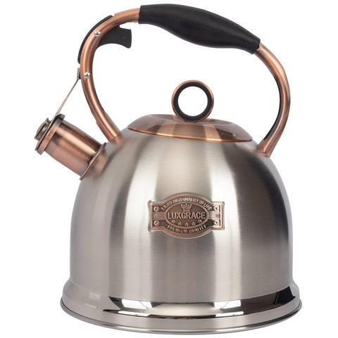 LUXGRACE front view of stainless steel kettle showing durable design and quick boil benefit