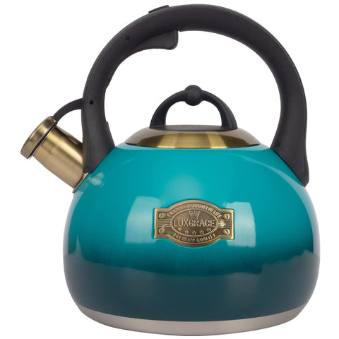 LUXGRACE front view stainless teakettle shows durable design and quick heating benefit