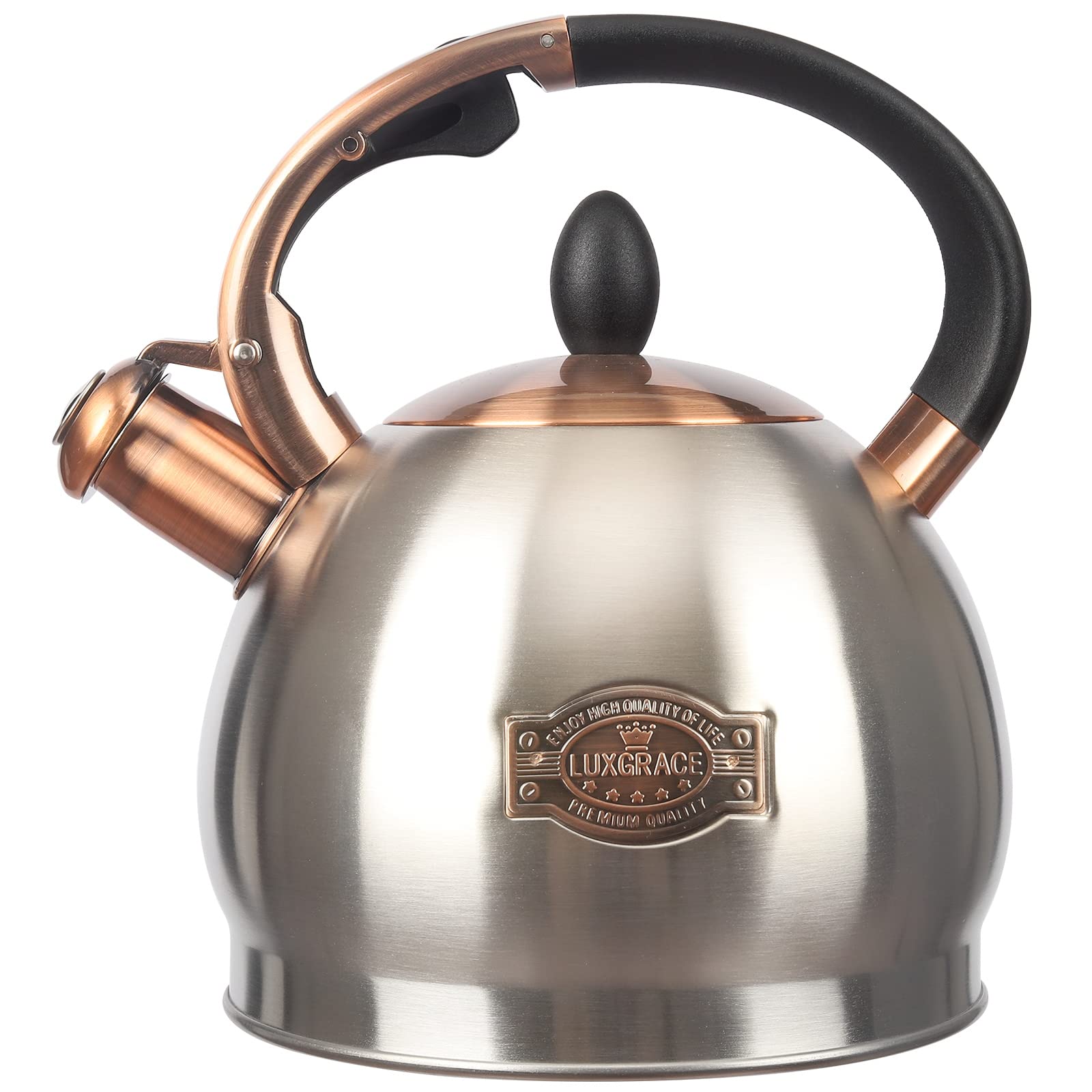 LUXGRACE front view of kettle showing durable stainless steel and whistle
