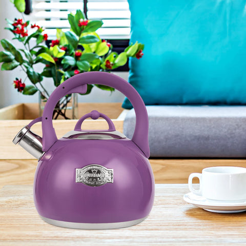 LUXGRACE kettle boiling on gas stove demonstrating stovetop compatibility benefit